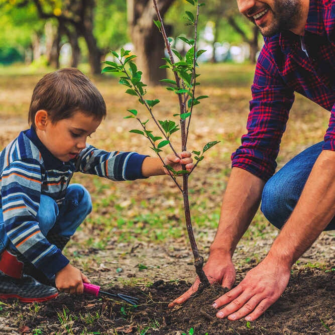 AGI glaspac plant-a-tree-for-earth-day